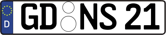 GD-NS21