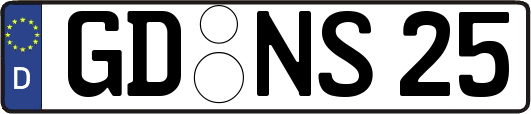 GD-NS25