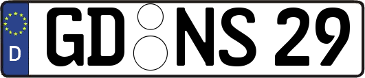 GD-NS29