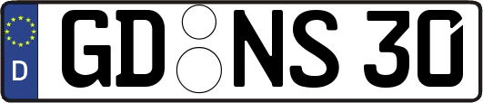 GD-NS30