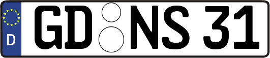 GD-NS31