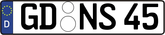 GD-NS45