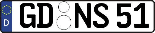 GD-NS51