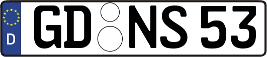 GD-NS53