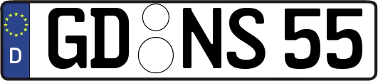 GD-NS55