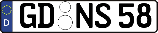 GD-NS58
