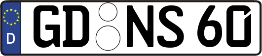 GD-NS60