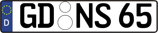 GD-NS65