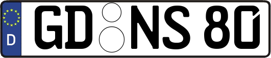 GD-NS80