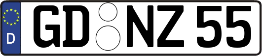 GD-NZ55