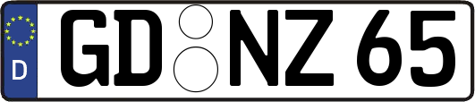 GD-NZ65