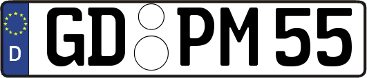 GD-PM55