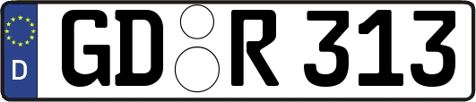 GD-R313