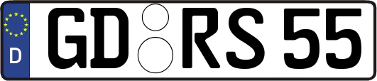 GD-RS55