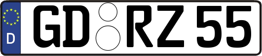GD-RZ55