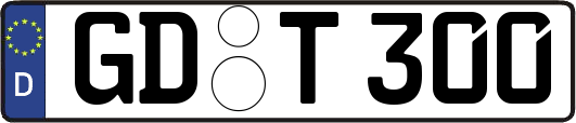 GD-T300