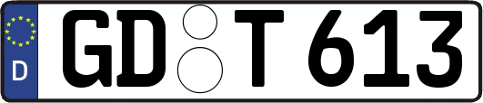 GD-T613