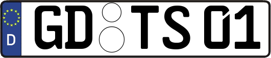 GD-TS01