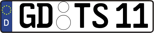 GD-TS11