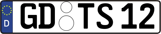 GD-TS12