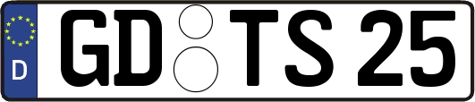 GD-TS25