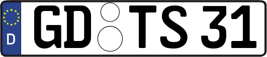 GD-TS31
