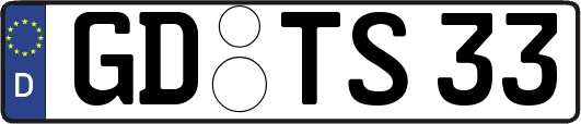 GD-TS33
