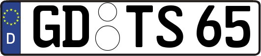GD-TS65