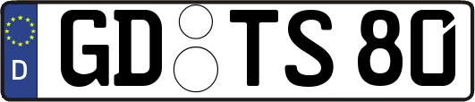 GD-TS80