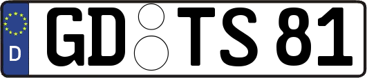 GD-TS81