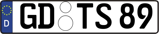 GD-TS89