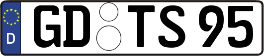 GD-TS95