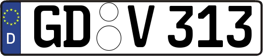 GD-V313