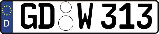 GD-W313