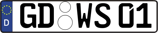 GD-WS01