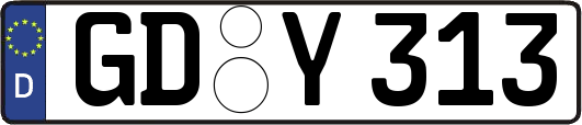 GD-Y313