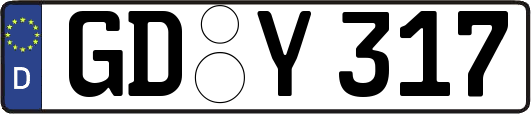 GD-Y317