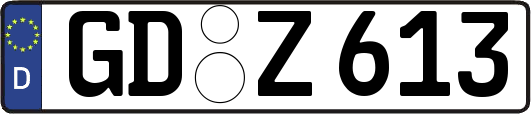 GD-Z613