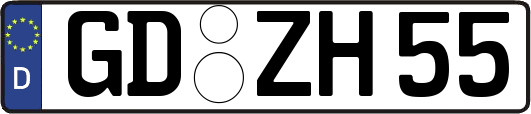 GD-ZH55