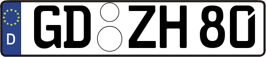 GD-ZH80