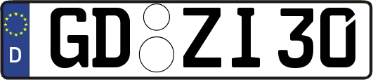 GD-ZI30
