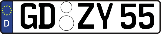 GD-ZY55