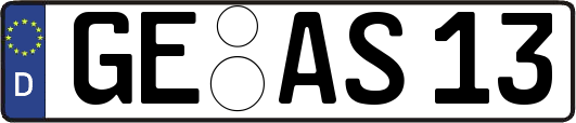 GE-AS13