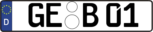 GE-B01
