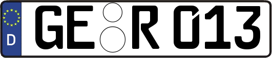 GE-R013