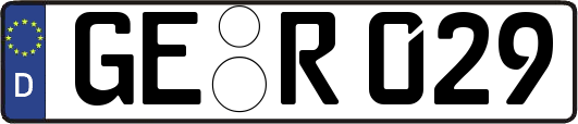 GE-R029