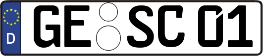 GE-SC01