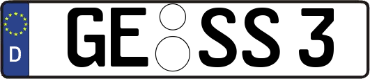 GE-SS3