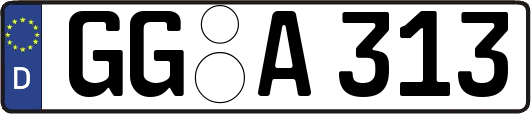 GG-A313