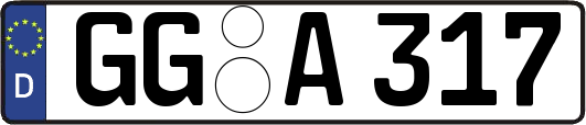GG-A317